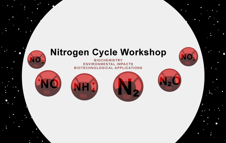 Nitrogen Cycle – 28 March 2018