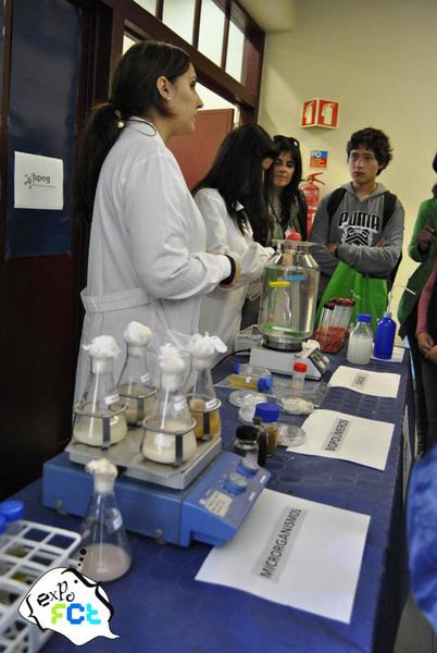 expofct2012_dq_66